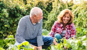 Minder werken: wat betekent dit?